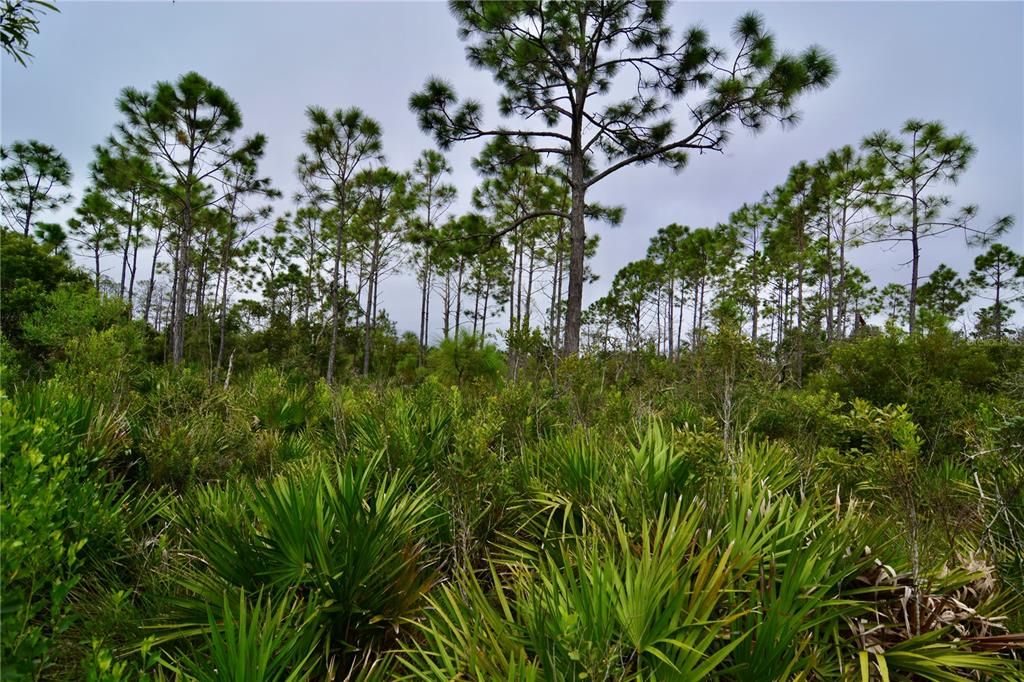 En Venta: $170,000 (5.47 acres)