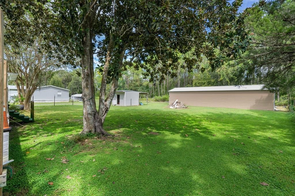 待售: $239,000 (3 贝兹, 2 浴室, 1512 平方英尺)