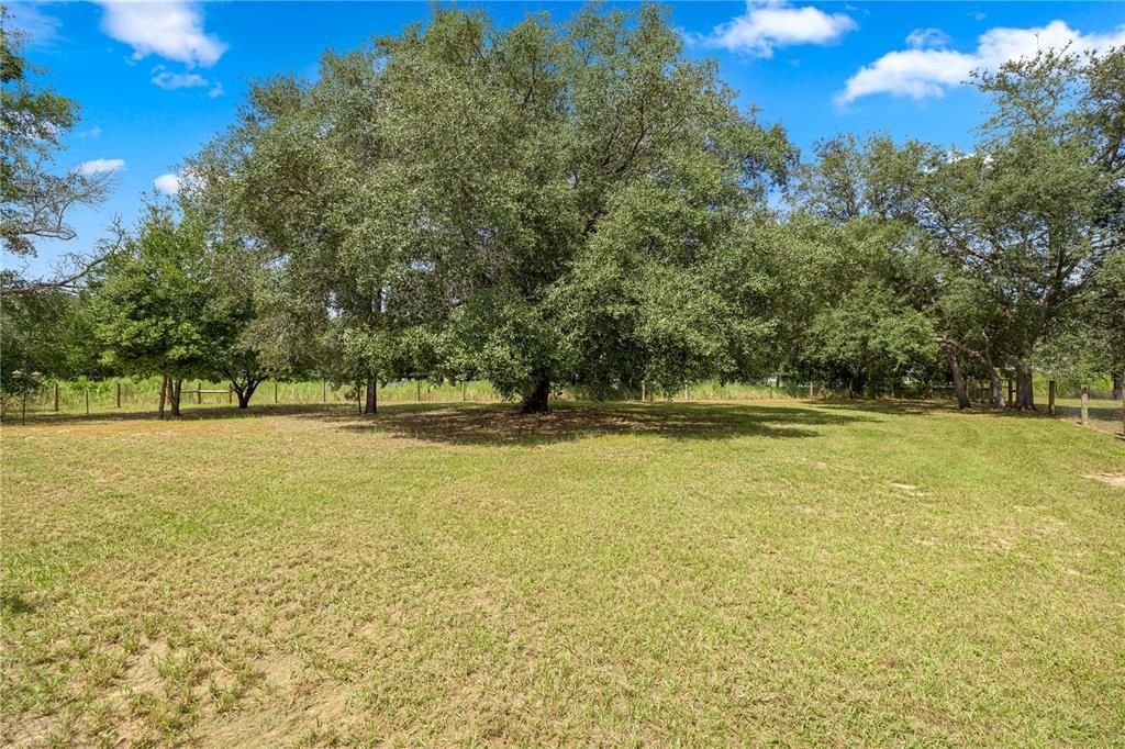 Active With Contract: $324,900 (3 beds, 2 baths, 1635 Square Feet)