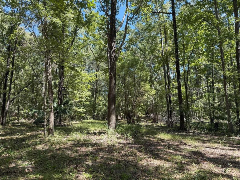 En Venta: $249,900 (10.03 acres)