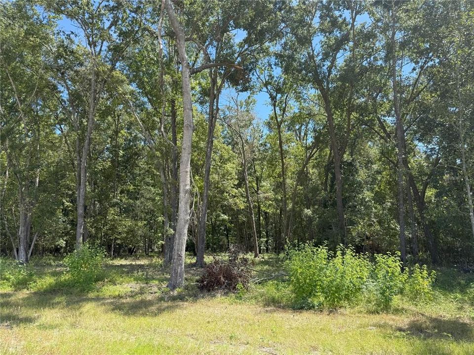 En Venta: $249,900 (10.03 acres)