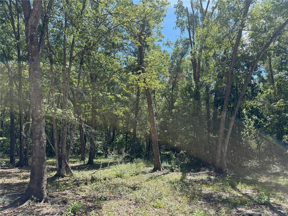 En Venta: $249,900 (10.03 acres)