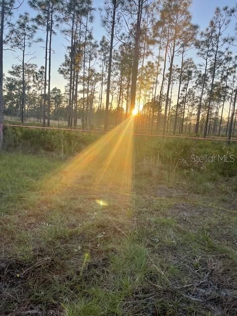 待售: $17,000 (2.48 acres)