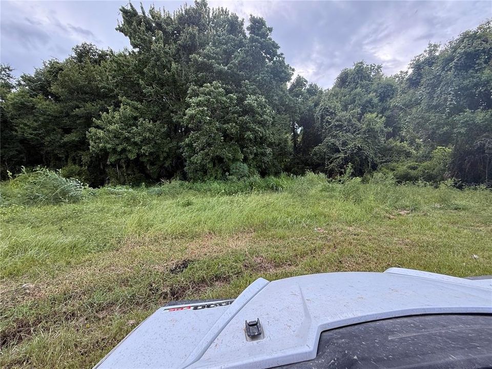 For Sale: $89,000 (0.43 acres)