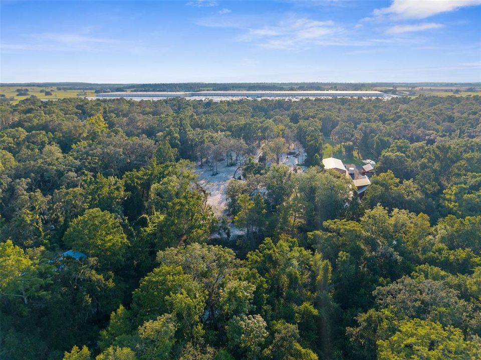 For Sale: $495,000 (3 beds, 2 baths, 1677 Square Feet)