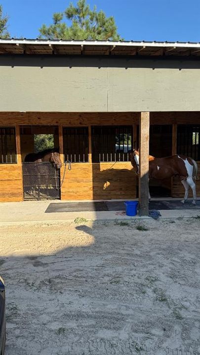 待售: $388,900 (2 贝兹, 1 浴室, 700 平方英尺)