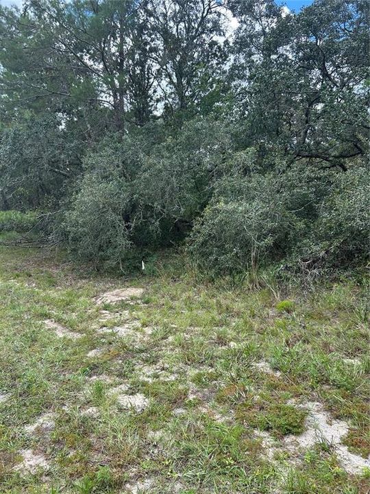 На продажу: $30,000 (0.34 acres)