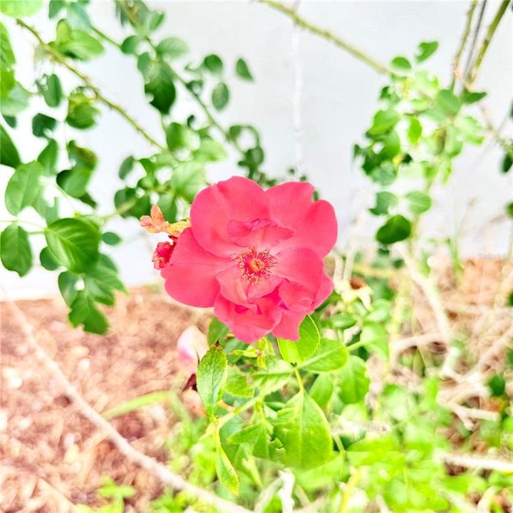 For Sale: $325,000 (3 beds, 2 baths, 1622 Square Feet)