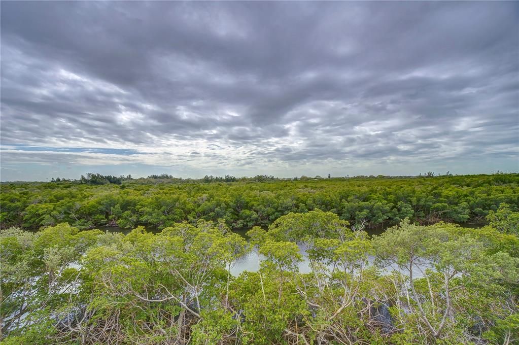 Active With Contract: $299,000 (2 beds, 2 baths, 1258 Square Feet)