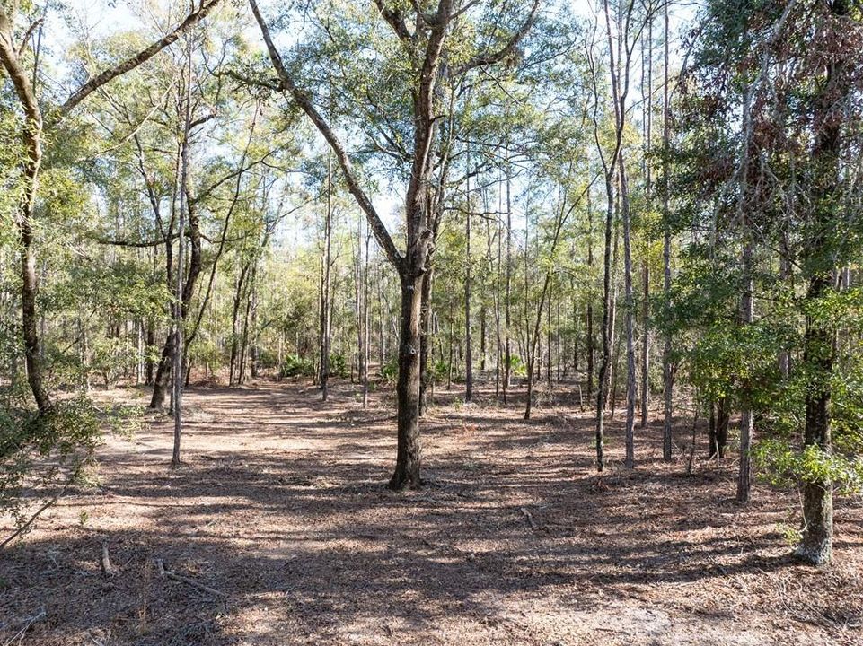 En Venta: $429,000 (37.60 acres)