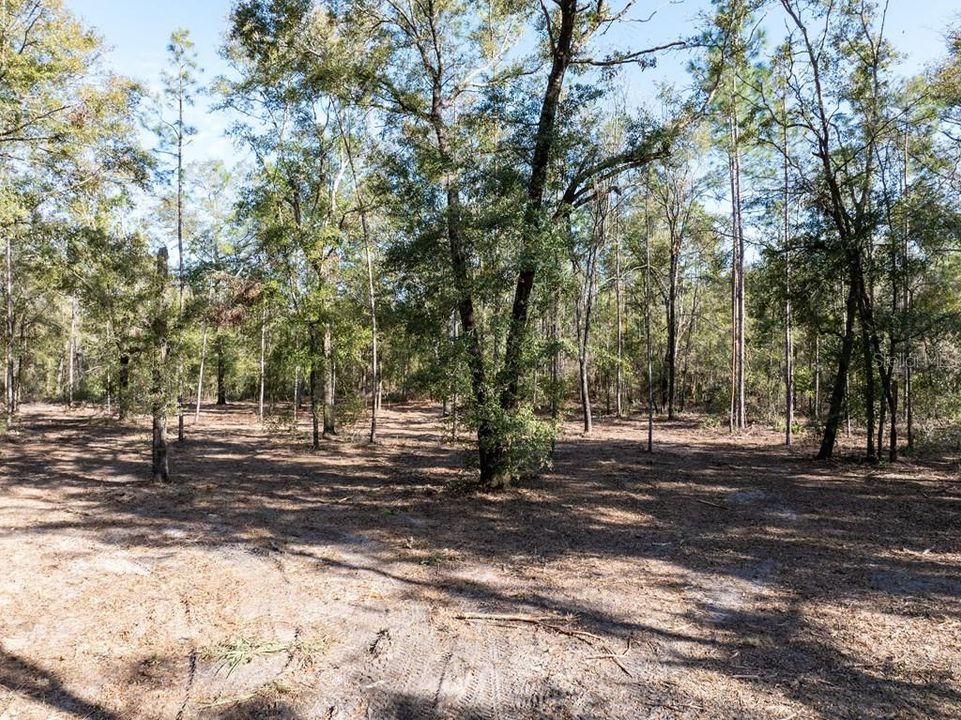 En Venta: $429,000 (37.60 acres)