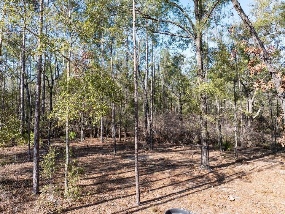 En Venta: $429,000 (37.60 acres)