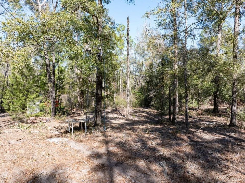 En Venta: $429,000 (37.60 acres)