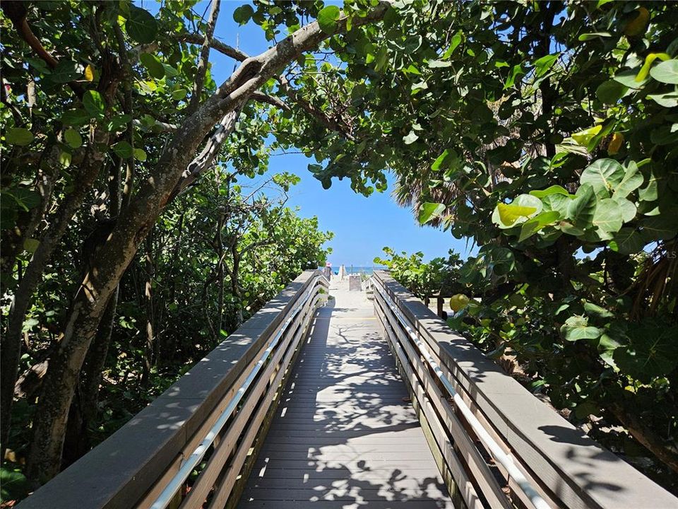 В аренду: $5,000 (2 спален, 1 ванн, 985 Квадратных фут)