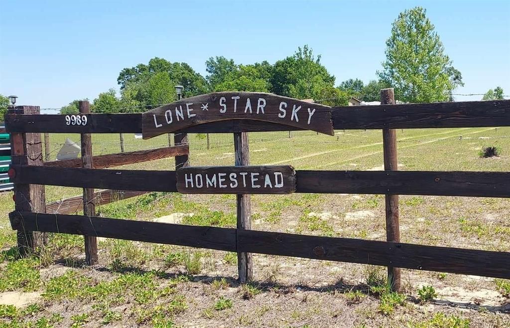 待售: $265,000 (2 贝兹, 2 浴室, 1308 平方英尺)