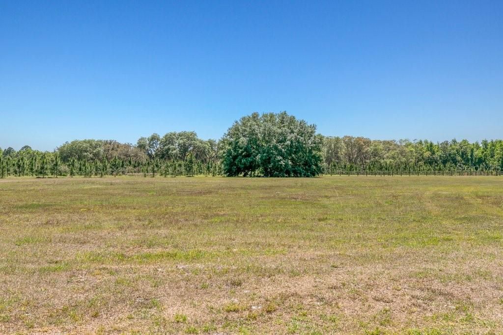 合同活跃: $525,000 (3 贝兹, 2 浴室, 2112 平方英尺)