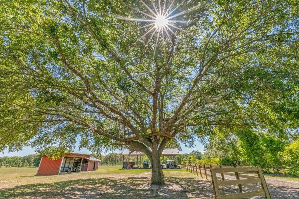 合同活跃: $525,000 (3 贝兹, 2 浴室, 2112 平方英尺)