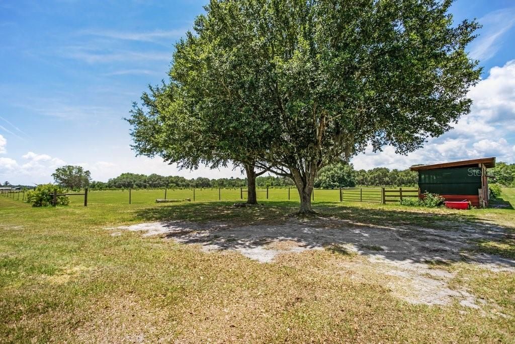 合同活跃: $525,000 (3 贝兹, 2 浴室, 2112 平方英尺)