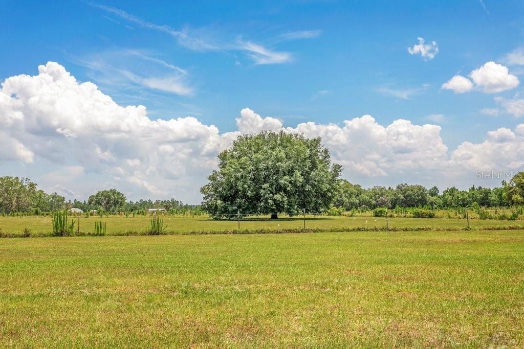 合同活跃: $525,000 (3 贝兹, 2 浴室, 2112 平方英尺)