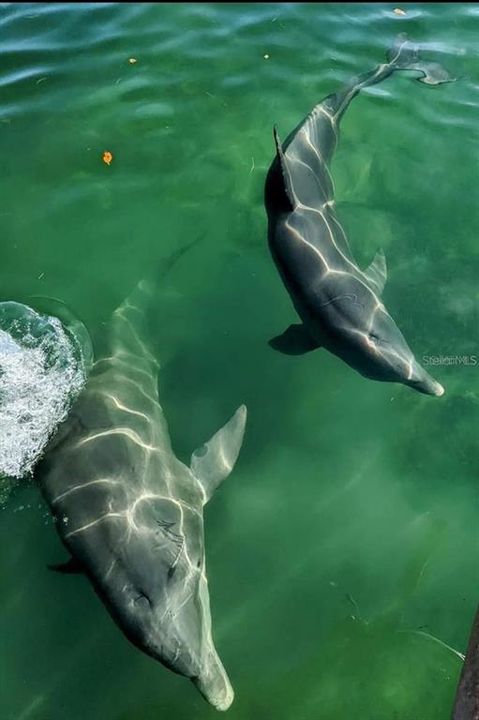 待售: $76,900 (0.23 acres)