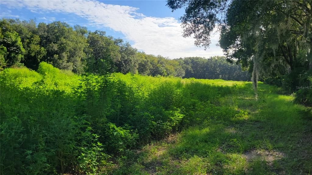 На продажу: $1,900,000 (4.44 acres)