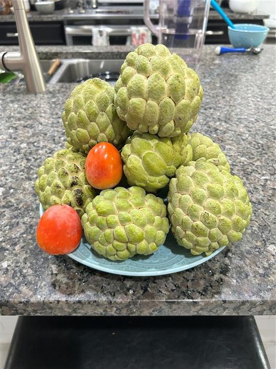 Activo con contrato: $395,000 (3 camas, 2 baños, 1483 Pies cuadrados)