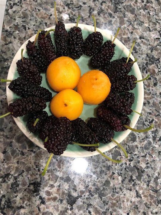 Activo con contrato: $395,000 (3 camas, 2 baños, 1483 Pies cuadrados)