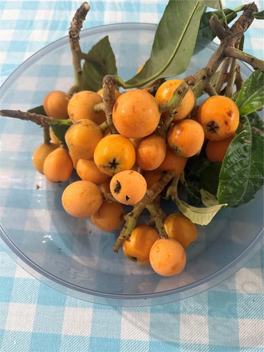 Activo con contrato: $395,000 (3 camas, 2 baños, 1483 Pies cuadrados)