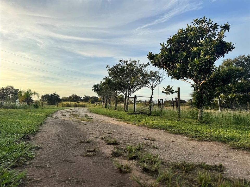 待售: $519,000 (4 贝兹, 2 浴室, 1728 平方英尺)