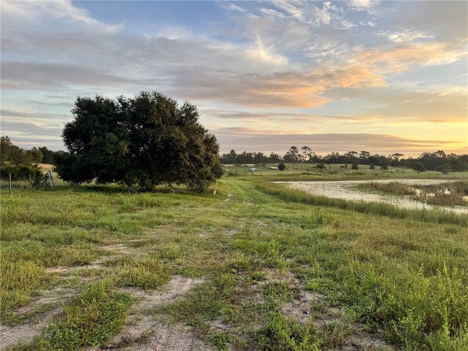 待售: $519,000 (4 贝兹, 2 浴室, 1728 平方英尺)