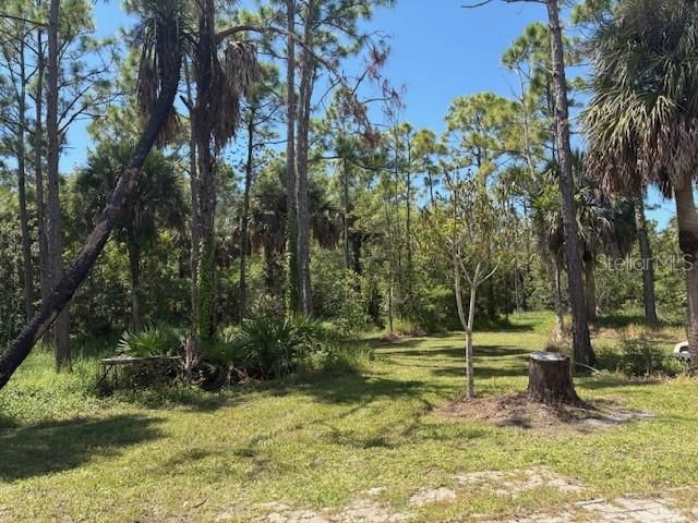 For Sale: $699,000 (4.98 acres)