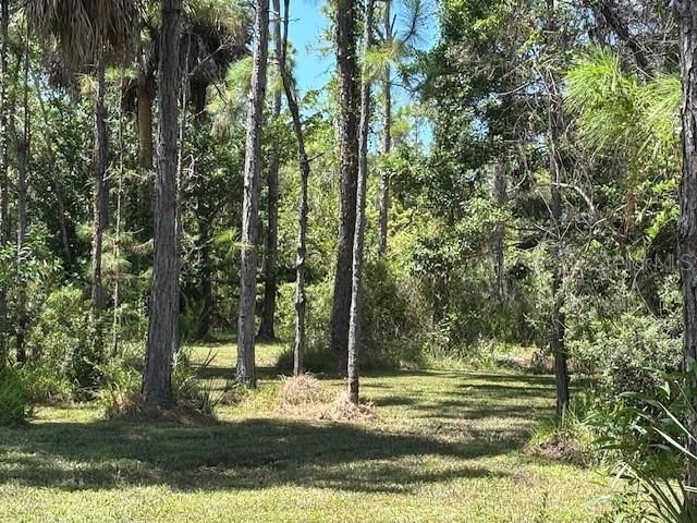 For Sale: $699,000 (4.98 acres)