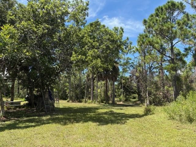 For Sale: $699,000 (4.98 acres)