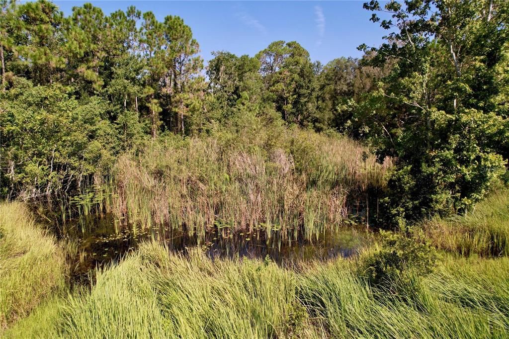 For Sale: $89,900 (1.32 acres)