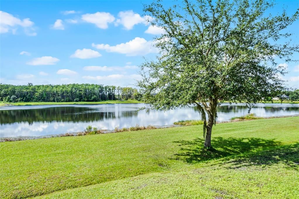 Activo con contrato: $725,000 (5 camas, 4 baños, 3187 Pies cuadrados)