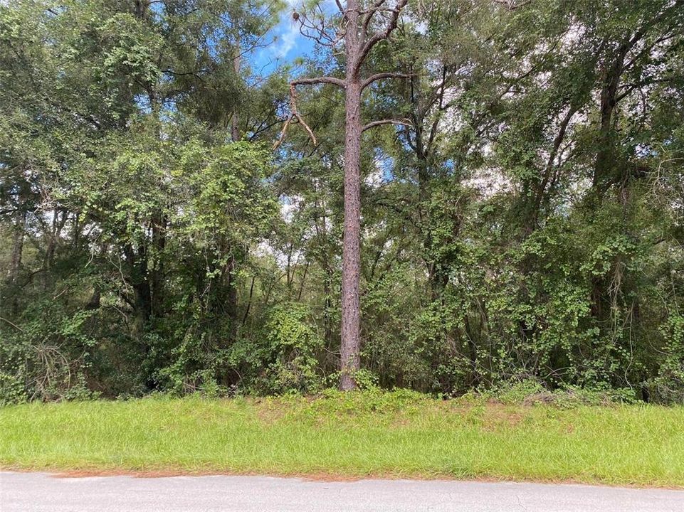 En Venta: $17,500 (0.25 acres)