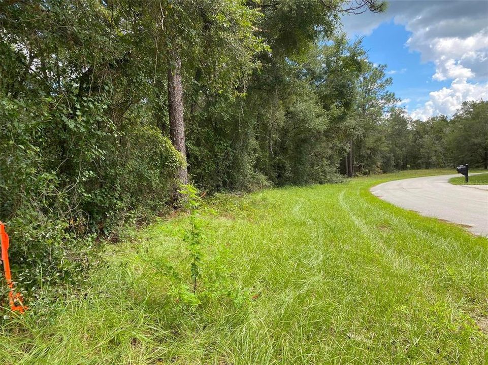 En Venta: $17,500 (0.25 acres)