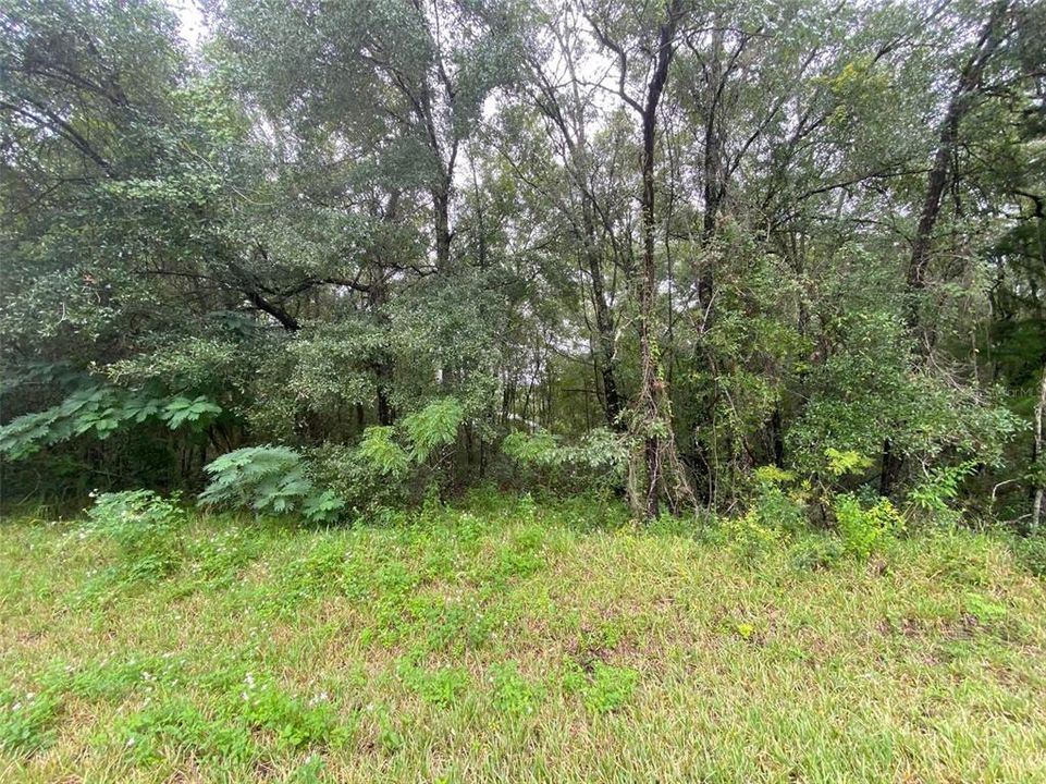 En Venta: $17,500 (0.25 acres)