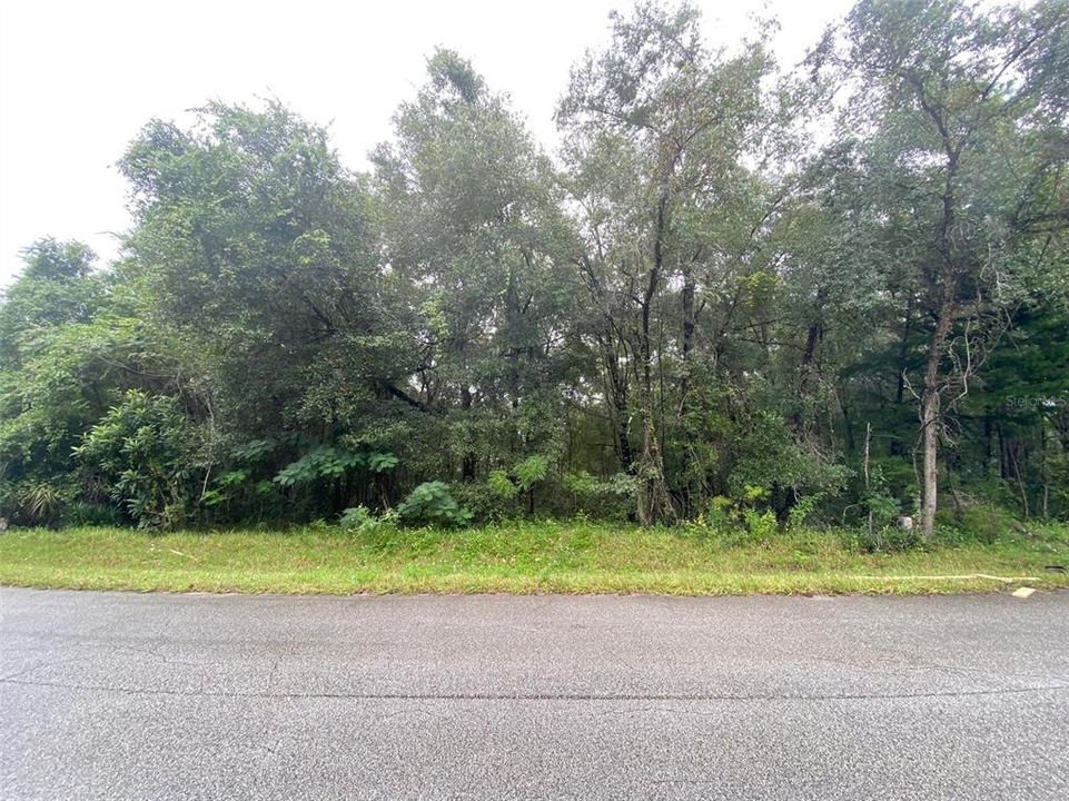 En Venta: $17,500 (0.25 acres)