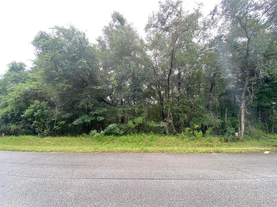 En Venta: $17,500 (0.25 acres)