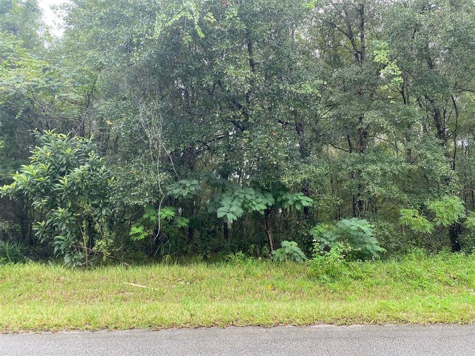 En Venta: $17,500 (0.25 acres)