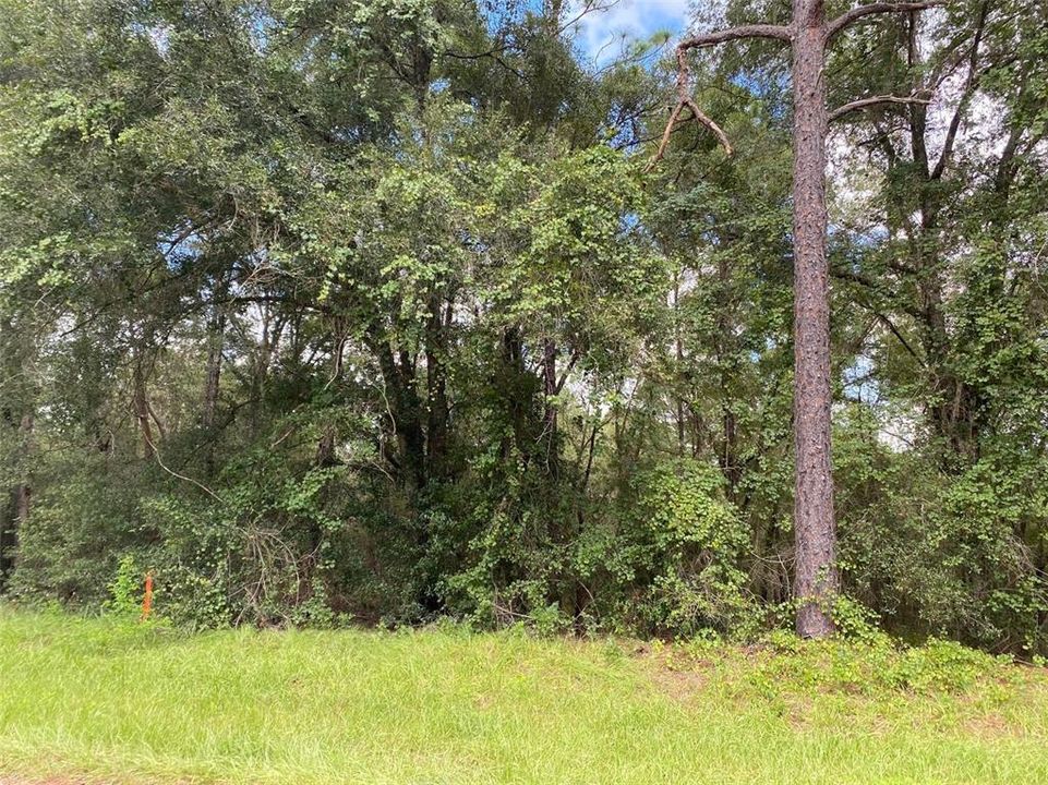 En Venta: $17,500 (0.25 acres)