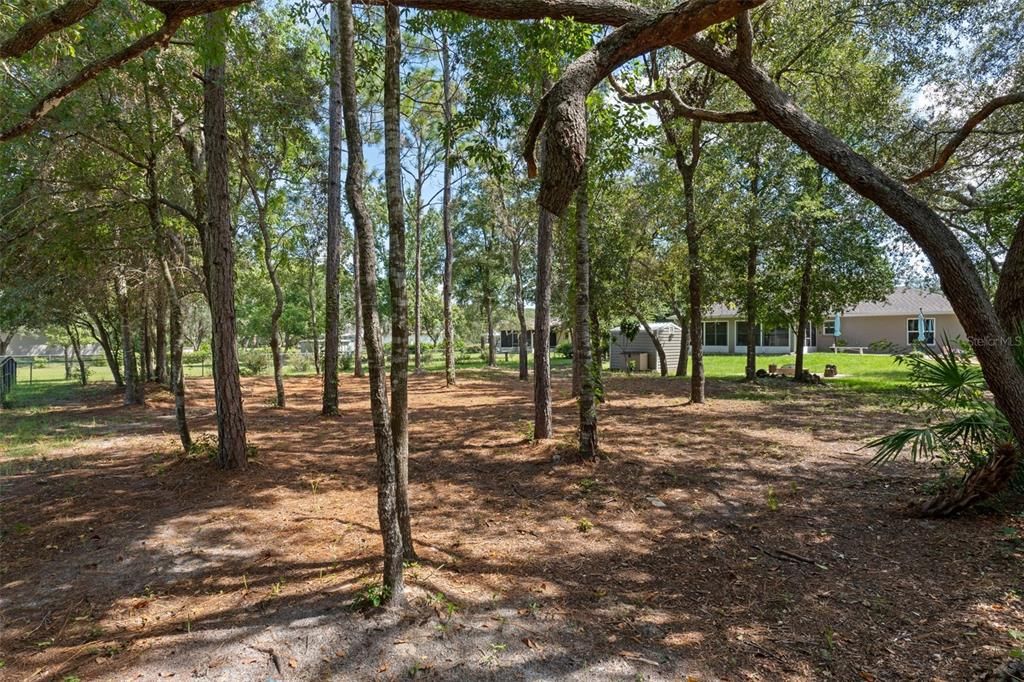 En Venta: $389,000 (2 camas, 2 baños, 1386 Pies cuadrados)