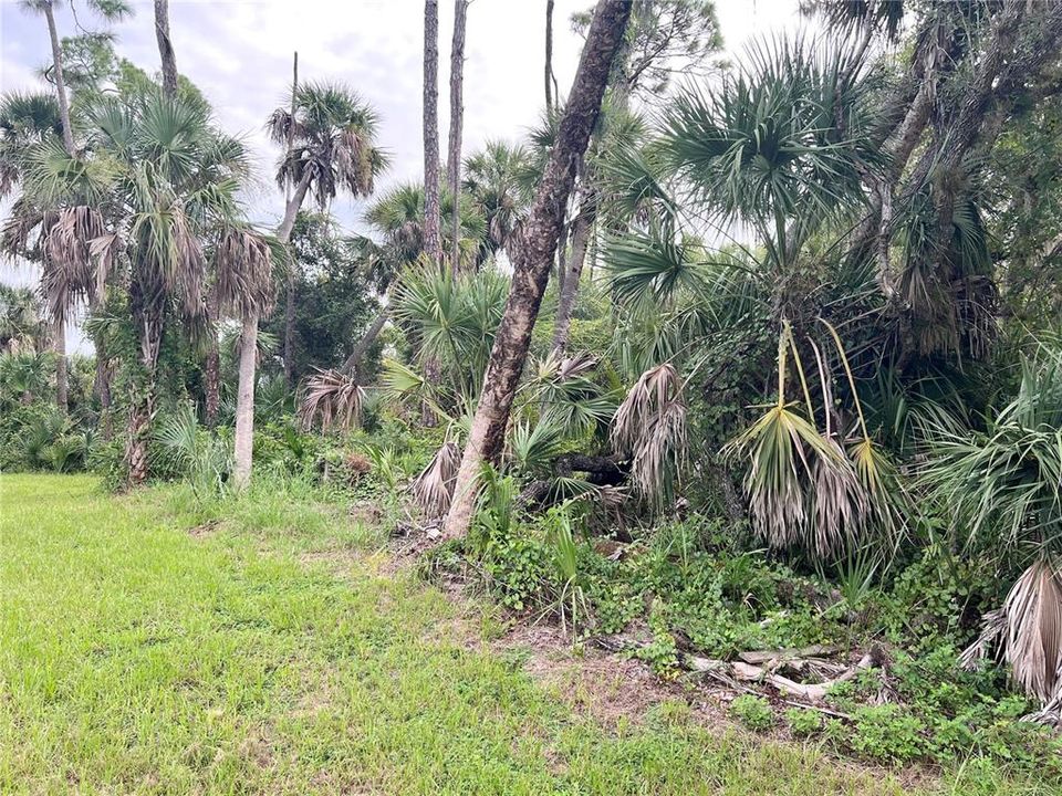 For Sale: $75,000 (0.69 acres)