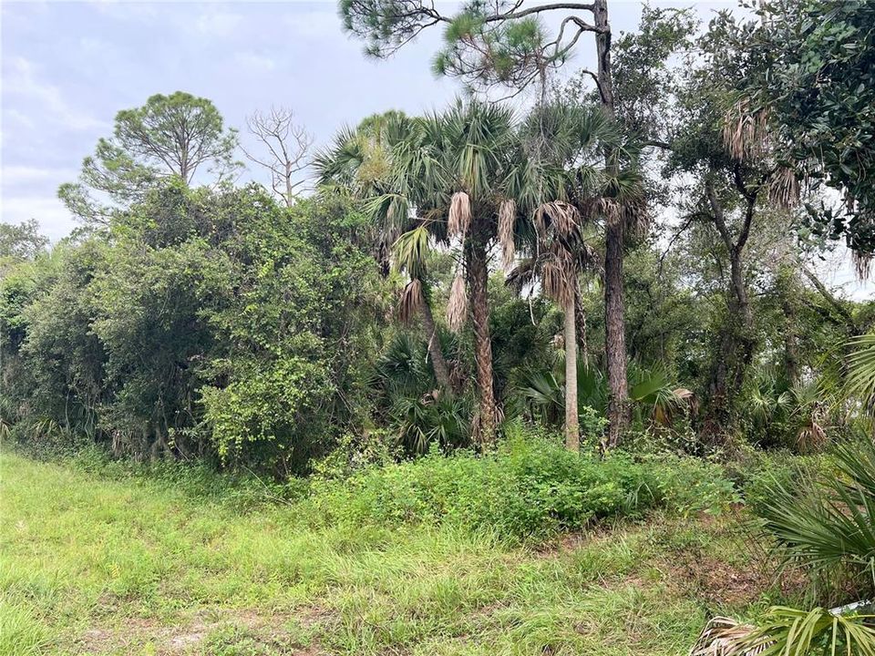 For Sale: $75,000 (0.69 acres)