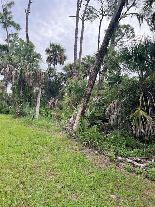 For Sale: $75,000 (0.69 acres)