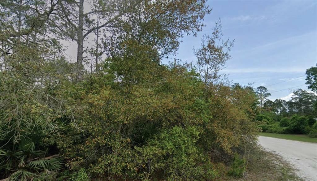 待售: $33,000 (1.33 acres)