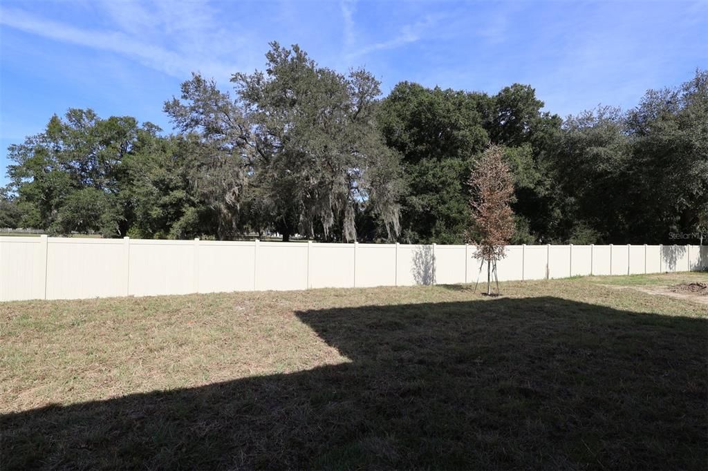 For Sale: $931,990 (5 beds, 4 baths, 3978 Square Feet)