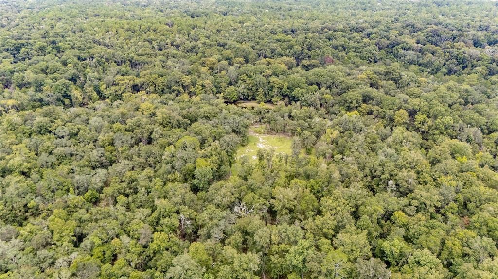 待售: $800,000 (13.72 acres)