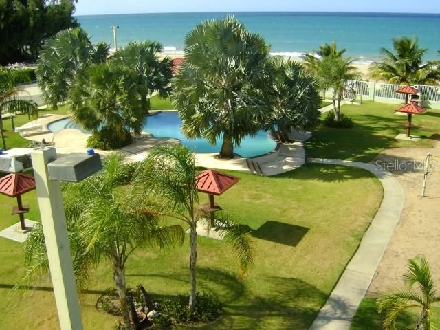 出租: $1,600 (3 贝兹, 2 浴室, 1200 平方英尺)